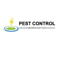 Local Business Pest Control Mornington in Mornington VIC