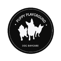 Local Business Puppy Play Ground in Zetland NSW