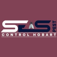 Flea Control Hobart