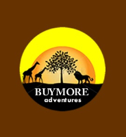 Local Business BuyMore Adventures in Nairobi Nairobi County