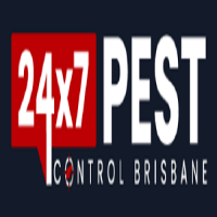 Bed Bug Removal Brisbane