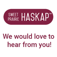 Sweet Prairie Haskap