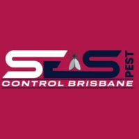 Bed Bug Removal Brisbane