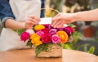 Florists In Melbourne That Deliver - Amazing Graze Flowers
