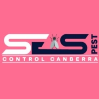 Local Business Bed Bug Control Canberra in Canberra ACT