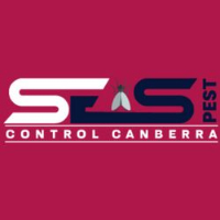 Best Spider Control Canberra