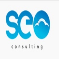 Local Business SEO Consulting in Sandringham VIC