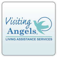 Local Business Visiting Angels in New Port Richey FL