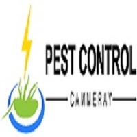 Local Business Pest Control Cammeray in Cammeray NSW