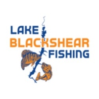 Lake Blackshear Fishing
