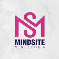 Local Business MindSite Web Services in Quakers Hill NSW