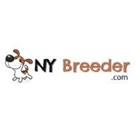 Local Business NY Breeder in White Plains NY