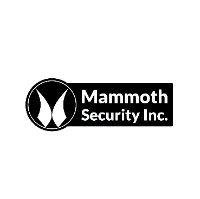 Local Business Mammoth Security Inc. Norwalk in Norwalk CT