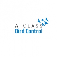Local Business A Class Bird Control in Geelong VIC