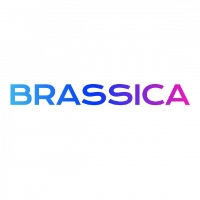 Local Business Brassica Finance in Houston TX