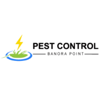 Local Business Pest Control Banora Point in Banora Point NSW
