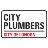 Local Business City Plumbers in Mayfair England