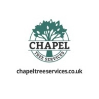 Local Business Chapel Tree Services in Ross-on-Wye England