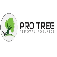 Local Business Pro Tree Removal Adelaide in Adelaide SA