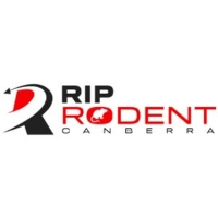 Rodent Pest Control Canberra