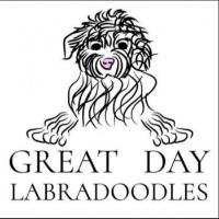 Local Business Great Day Labradoodles in Salem OR