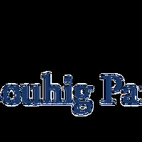 Couhig Partners LLC