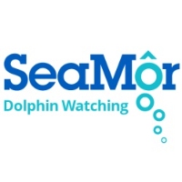 Local Business SeaMor Dolphin Watching Boat Trips in New Quay Wales
