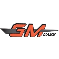 Local Business GM Cabs Taxis Australia in Mascot NSW