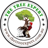 The Tree Expert