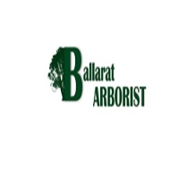 Local Business Ballarat Tree Removal Solutions in Delacombe VIC