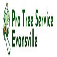 Pro Tree Service Evansville