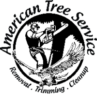 Medley Best tree Removal service