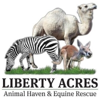 Liberty Acres Animal Haven & Equine Rescue
