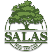 Local Business Salas Tree Service in Oklahoma City OK