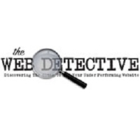 The Web Detective