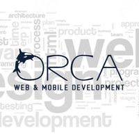 Local Businesses Orca Web Technologies Pvt Ltd in Jaipur RJ