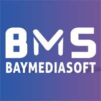 Local Businesses Baymediasoft in Udaipur RJ