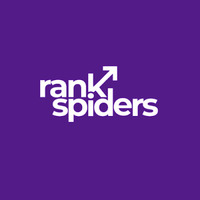 Rank Spiders - SEO and Social Media Marketing Company in Mohali