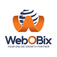 Local Businesses Webobix Technologies Pvt. Ltd. in Zirakpur PB