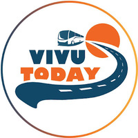 Vivutoday