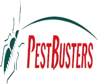 Local Business Pestbusters in Singapore 