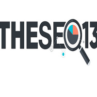 Theseo13 | Best Digital marketing company in india| website development services