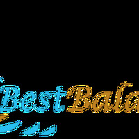 Local Businesses BestBala Online Solution Private Limited in Bhubaneswar OR