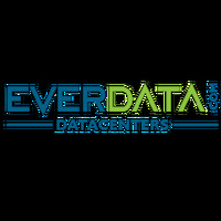 Local Businesses Everdata - Web Hosting Company in Jaipur RJ