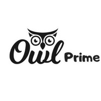 Owl Prime - Digital Marketing Agency in Mumbai - SEO Company in Thane - Healthcare, Hospital & Doctor Agency in Mumbai