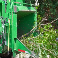 Local Business Athens of America Tree Service in Annapolis MD