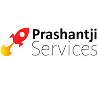 Local Businesses Prashantji Services | Best Digital Marketing Agency in Delhi, India in New Delhi, Delhi DL