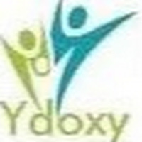 Ydoxy Digital Marketing Company