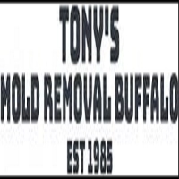 Tony’s Mold Removal Buffalo