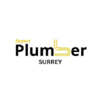 Local Business Expert Plumber Surrey in Surrey BC